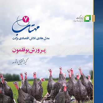 کتاب مهتاب «7» پرورش بوقلمون