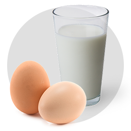 دام و طیور و شیلات