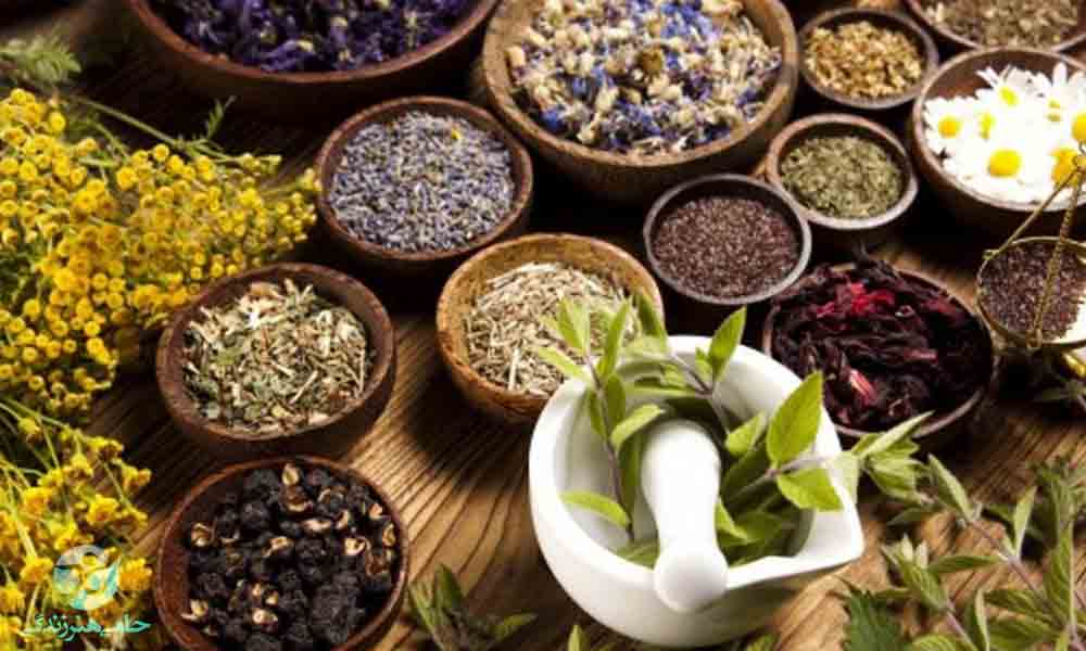 گیاهان دارویی مفید در بیماریها