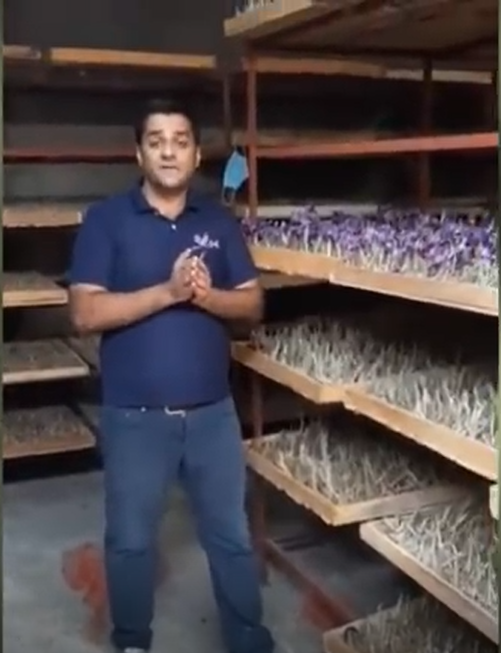 معرفی حرفه زعفران