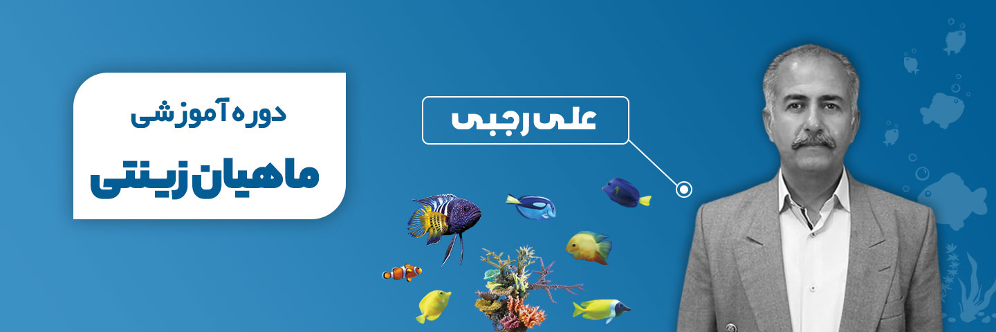 پرورش ماهیان زینتی