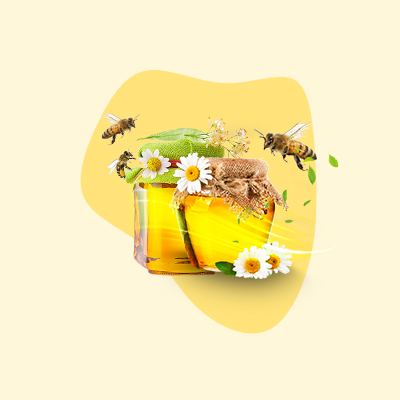 آموزش پرورش زنبورعسل
