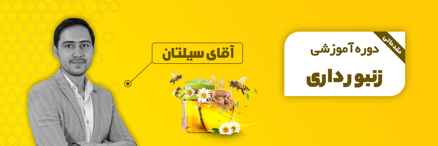 آموزش پرورش زنبورعسل