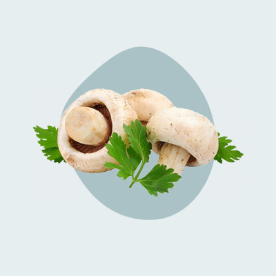 پرورش قارچ دکمه ای