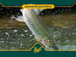 پرورش ماهیان سردآبی