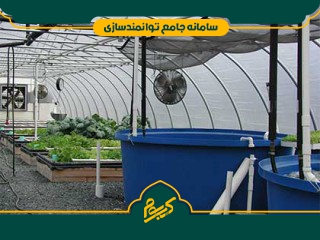 پرورش ماهی تیلاپیا در گلخانه