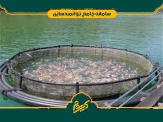 پرورش ماهی در قفس (قزل آلا)