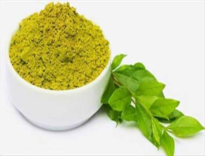 کاشت گیاه حنا