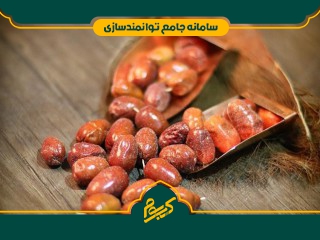 احداث باغ سنجد