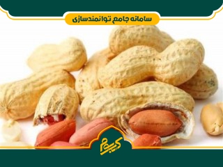 کاشت بادام زمینی