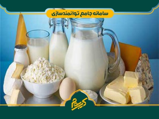 راه‌اندازی کارگاه و فروشگاه لبنیات سنتی