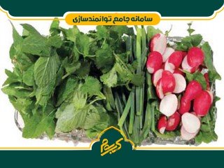 راه اندازی کارگاه فرآوری سبزیجات