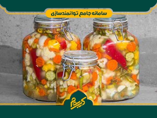 تهیه ترشی و شور