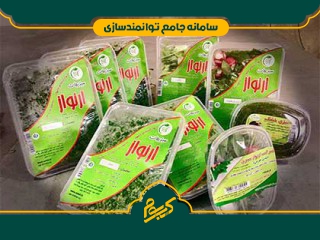 فرآوری و بسته بندی سبزیجات (خانگی)
