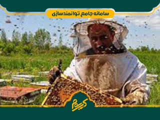 پرورش زنبور عسل
